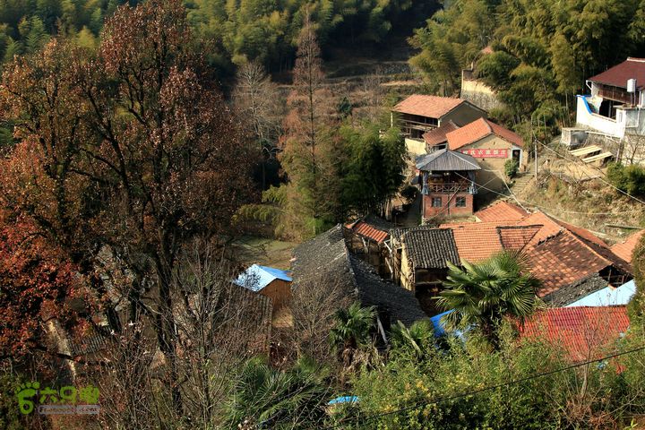 20131221永康独松—方山顶—金竹降（上、下）—上里叶nEO_IMG_IMG_1734