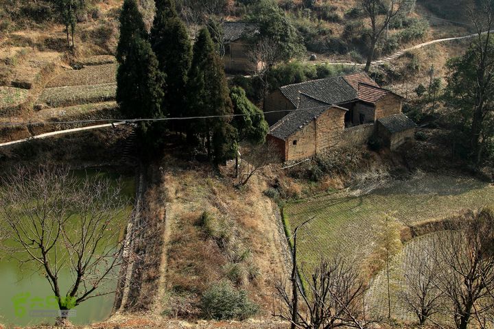 20131221永康独松—方山顶—金竹降（上、下）—上里叶nEO_IMG_IMG_1735