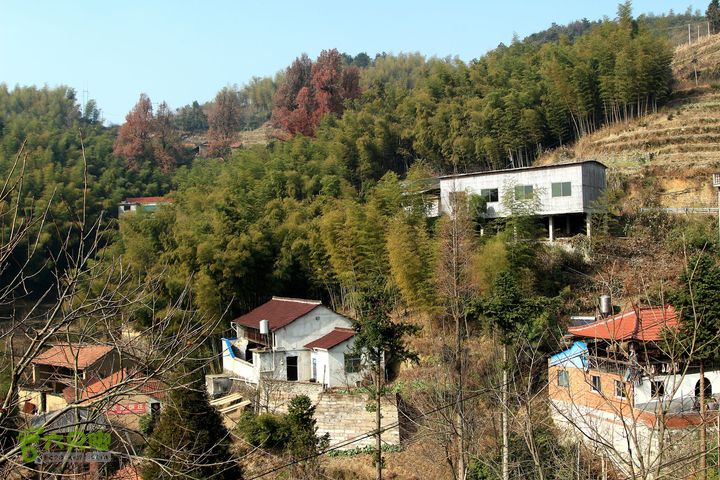 20131221永康独松—方山顶—金竹降（上、下）—上里叶nEO_IMG_IMG_1737