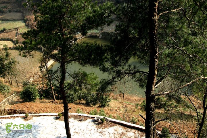 20131221永康独松—方山顶—金竹降（上、下）—上里叶nEO_IMG_IMG_1751