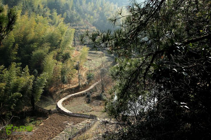 20131221永康独松—方山顶—金竹降（上、下）—上里叶nEO_IMG_IMG_1753