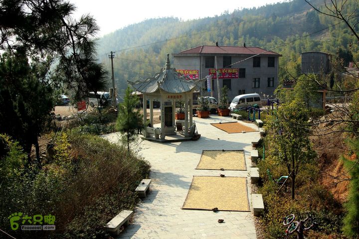 20131221永康独松—方山顶—金竹降（上、下）—上里叶nEO_IMG_IMG_1754