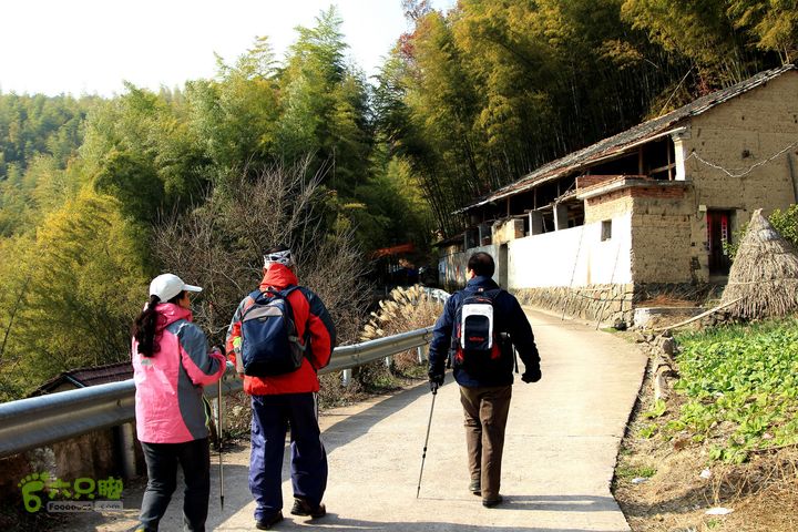 20131221永康独松—方山顶—金竹降（上、下）—上里叶nEO_IMG_IMG_1761