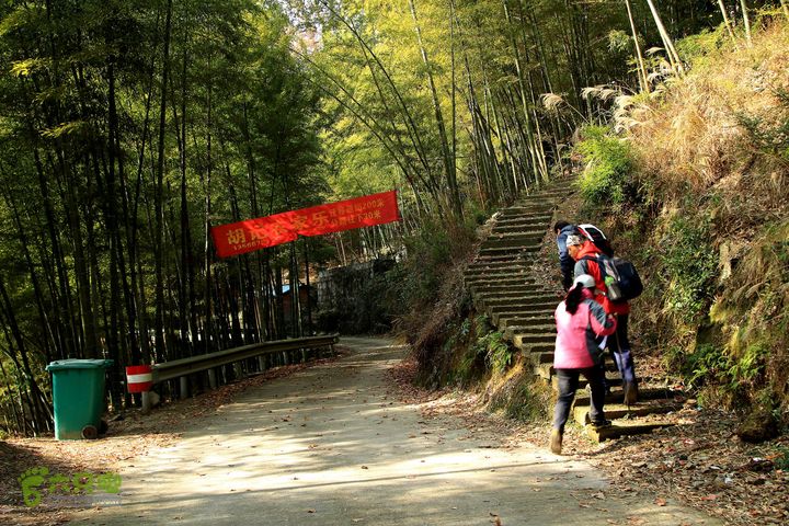 20131221永康独松—方山顶—金竹降（上、下）—上里叶nEO_IMG_IMG_1762