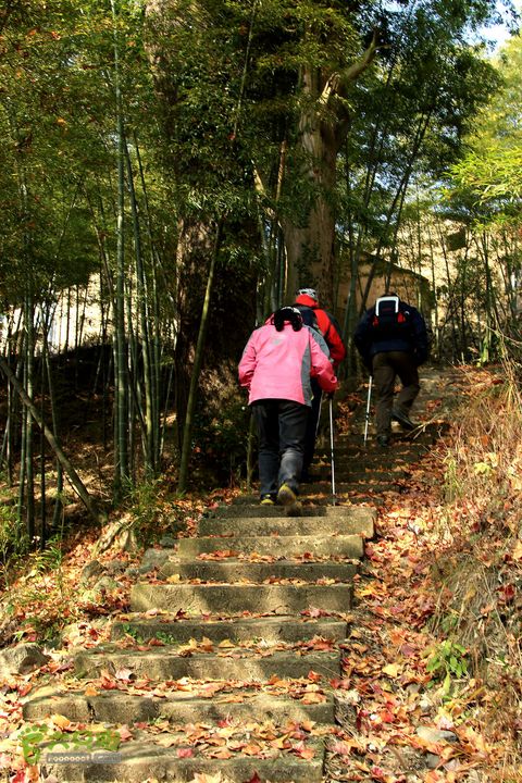 20131221永康独松—方山顶—金竹降（上、下）—上里叶nEO_IMG_IMG_1763