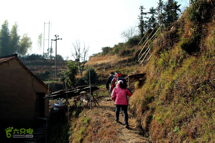 20131221永康独松—方山顶—金竹降（上、下）—上里叶nEO_IMG_IMG_1769