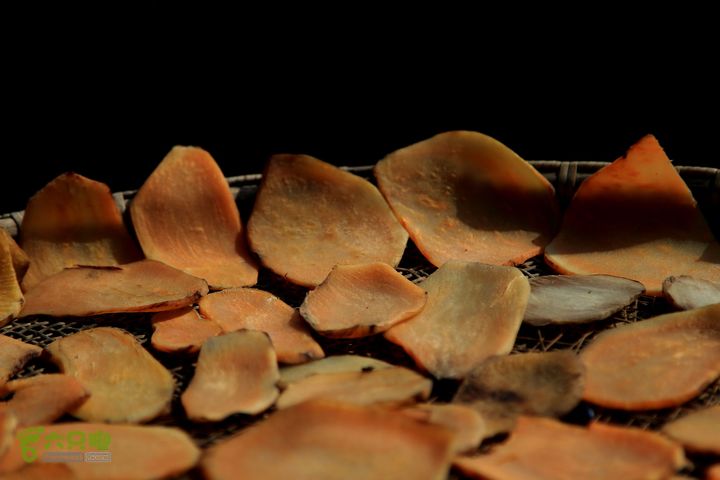 20131221永康独松—方山顶—金竹降（上、下）—上里叶nEO_IMG_IMG_1770