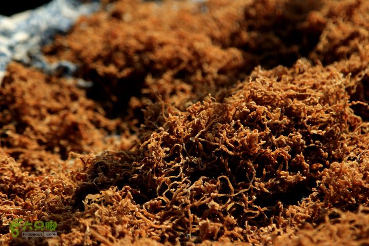 20131221永康独松—方山顶—金竹降（上、下）—上里叶nEO_IMG_IMG_1771