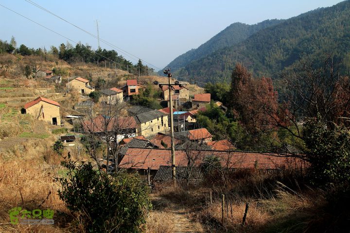 20131221永康独松—方山顶—金竹降（上、下）—上里叶nEO_IMG_IMG_1774