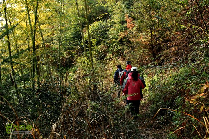 20131221永康独松—方山顶—金竹降（上、下）—上里叶nEO_IMG_IMG_1780