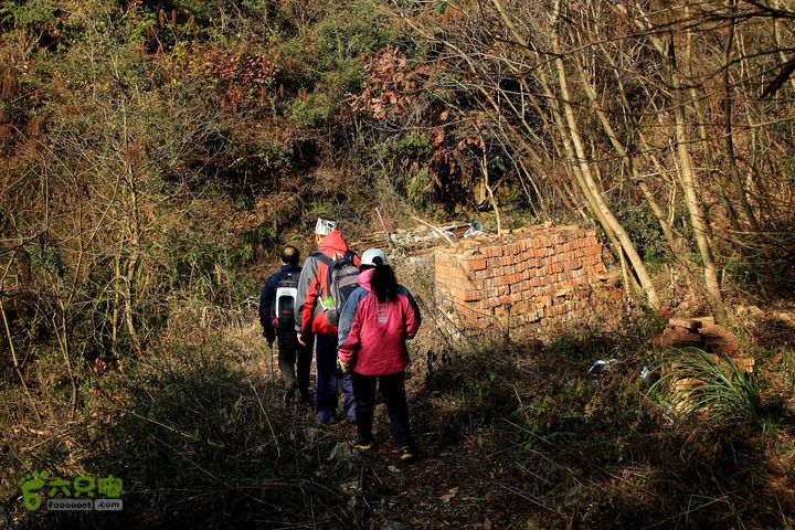 20131221永康独松—方山顶—金竹降（上、下）—上里叶nEO_IMG_IMG_1789