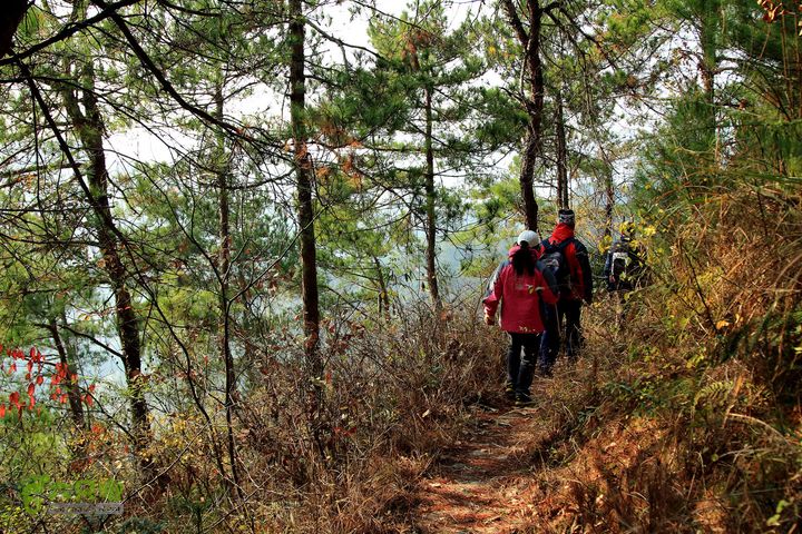 20131221永康独松—方山顶—金竹降（上、下）—上里叶nEO_IMG_IMG_1791