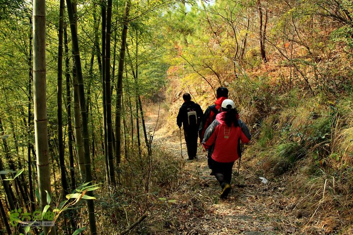 20131221永康独松—方山顶—金竹降（上、下）—上里叶nEO_IMG_IMG_1794