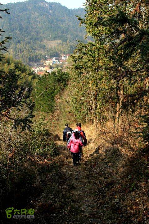 20131221永康独松—方山顶—金竹降（上、下）—上里叶nEO_IMG_IMG_1797