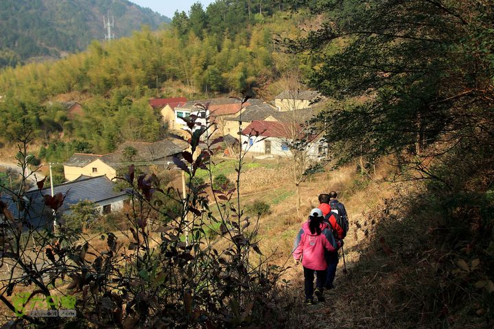 20131221永康独松—方山顶—金竹降（上、下）—上里叶nEO_IMG_IMG_1798