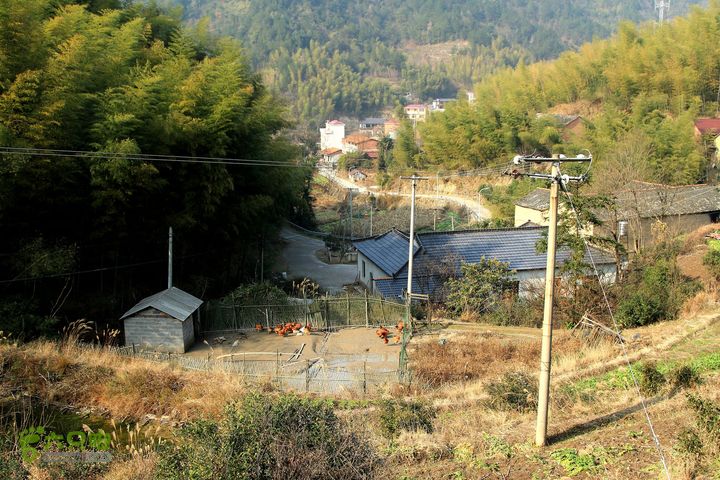 20131221永康独松—方山顶—金竹降（上、下）—上里叶nEO_IMG_IMG_1799