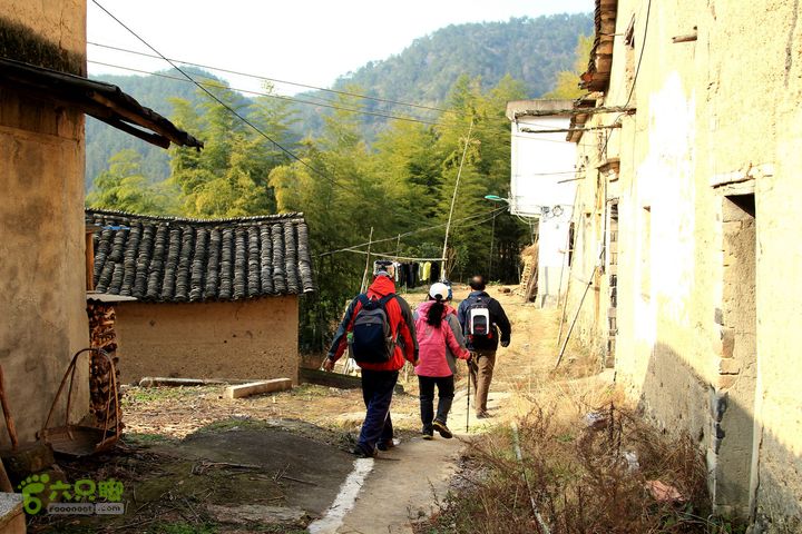20131221永康独松—方山顶—金竹降（上、下）—上里叶nEO_IMG_IMG_1803