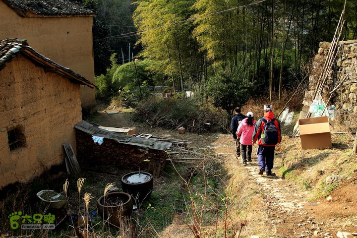 20131221永康独松—方山顶—金竹降（上、下）—上里叶nEO_IMG_IMG_1804