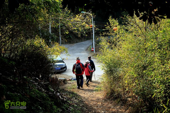 20131221永康独松—方山顶—金竹降（上、下）—上里叶nEO_IMG_IMG_1806