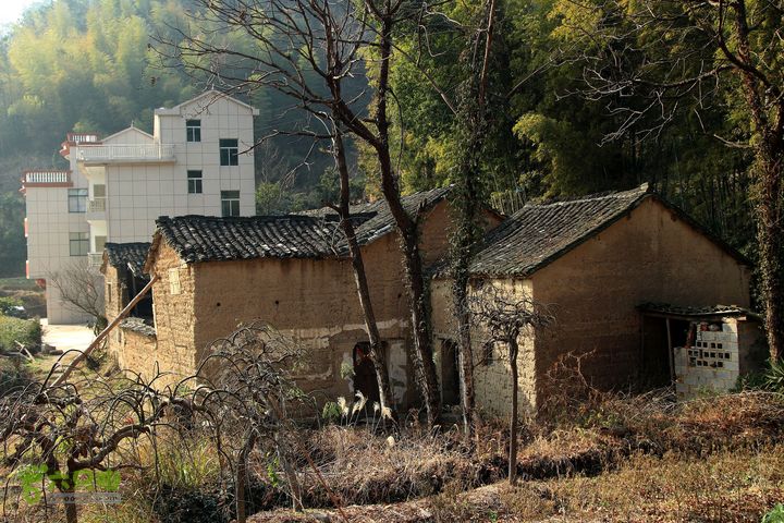 20131221永康独松—方山顶—金竹降（上、下）—上里叶nEO_IMG_IMG_1821