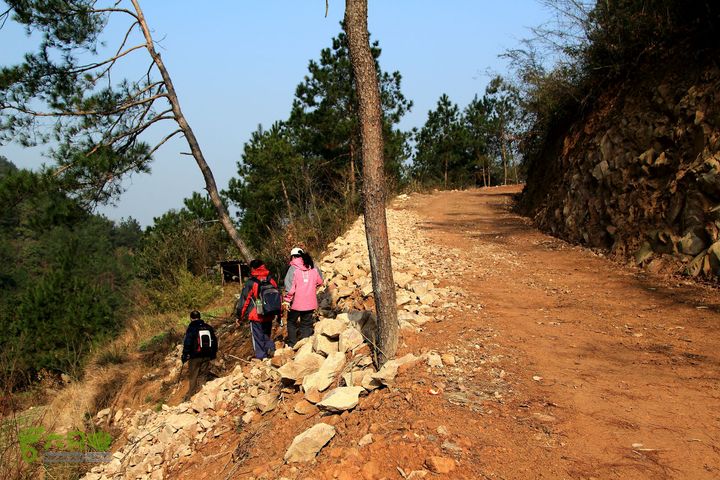 20131221永康独松—方山顶—金竹降（上、下）—上里叶nEO_IMG_IMG_1824