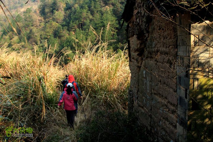 20131221永康独松—方山顶—金竹降（上、下）—上里叶nEO_IMG_IMG_1828