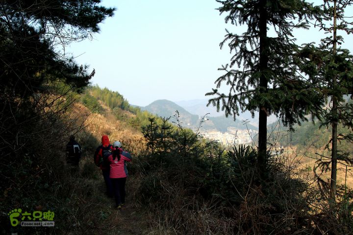 20131221永康独松—方山顶—金竹降（上、下）—上里叶nEO_IMG_IMG_1832