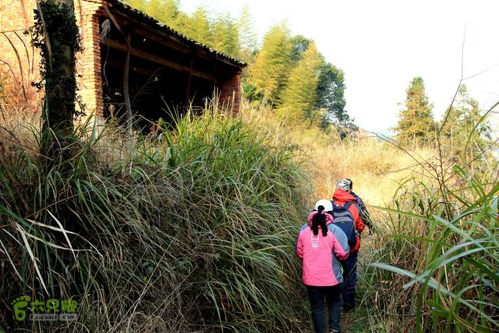20131221永康独松—方山顶—金竹降（上、下）—上里叶nEO_IMG_IMG_1836