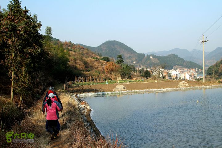 20131221永康独松—方山顶—金竹降（上、下）—上里叶nEO_IMG_IMG_1842