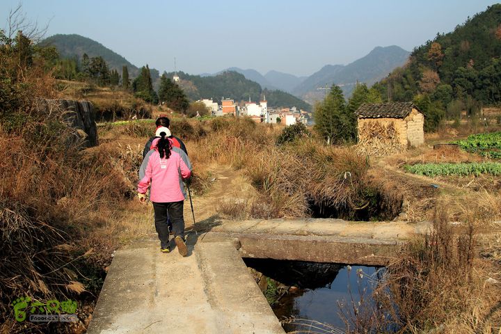 20131221永康独松—方山顶—金竹降（上、下）—上里叶nEO_IMG_IMG_1845