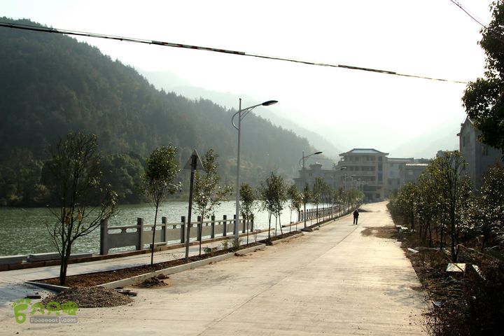 20131221永康独松—方山顶—金竹降（上、下）—上里叶nEO_IMG_IMG_1853