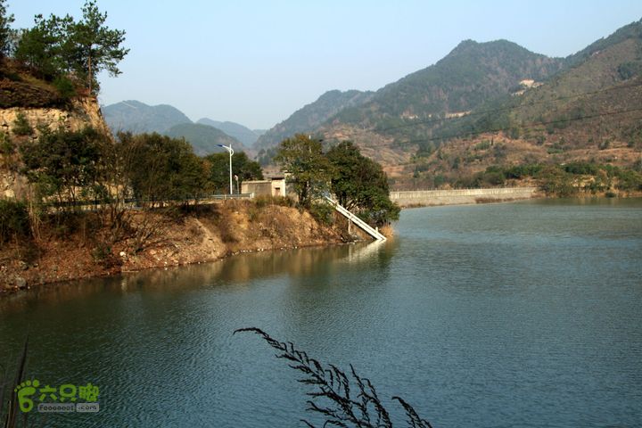 20131221永康独松—方山顶—金竹降（上、下）—上里叶nEO_IMG_IMG_1856