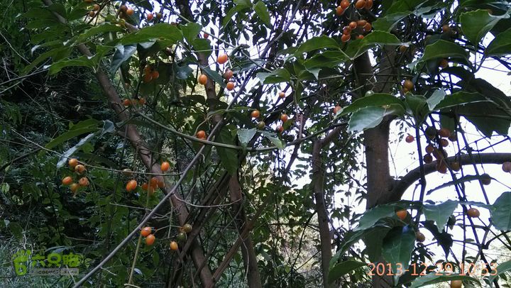 永泰岭路乡凤落村－荷溪－岭路乡叶洋村溯溪穿越2013-12-29 10:53:56