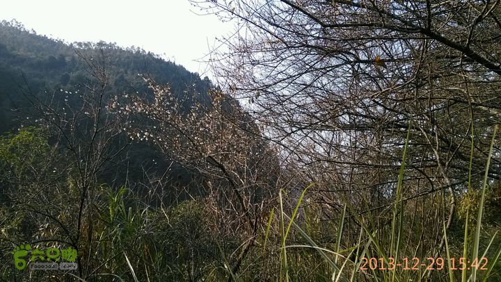 永泰岭路乡凤落村－荷溪－岭路乡叶洋村溯溪穿越2013-12-29 15:42:11