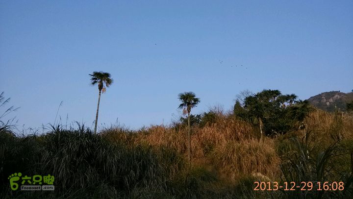 永泰岭路乡凤落村－荷溪－岭路乡叶洋村溯溪穿越2013-12-29 16:08:24