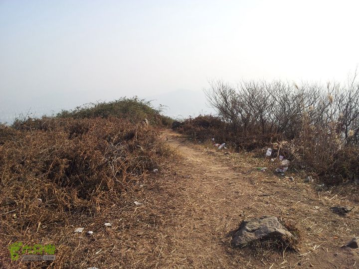 灵树行20140102_135155