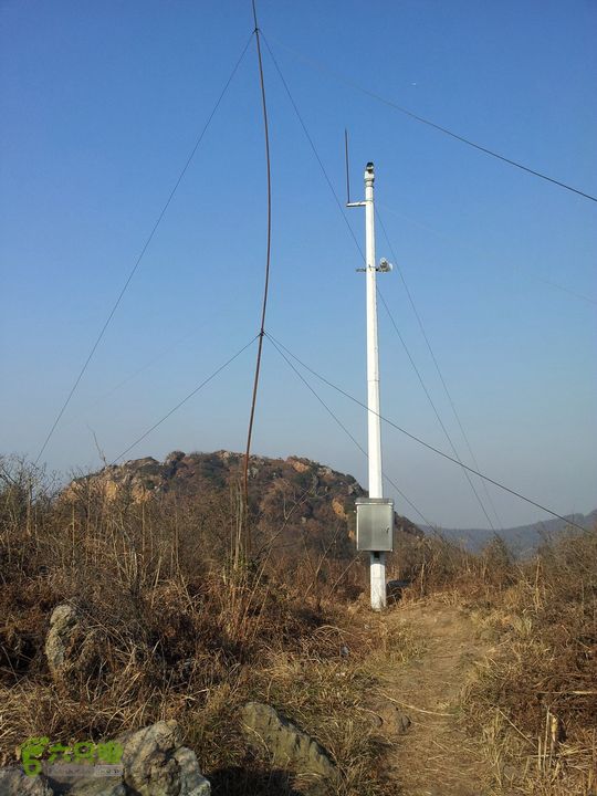 灵树行20140102_141256