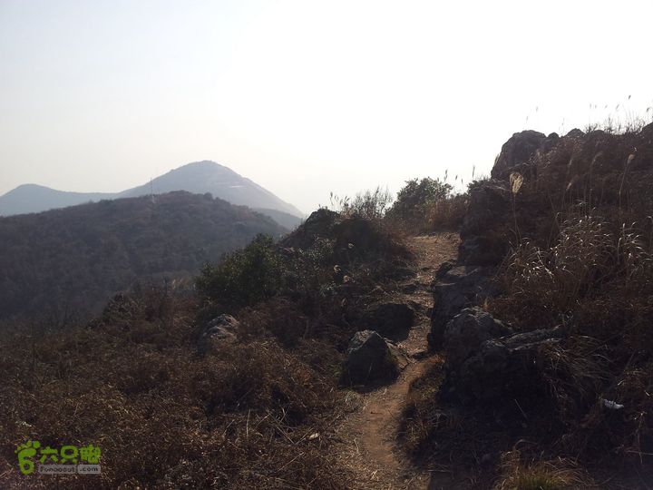 灵树行20140102_141803