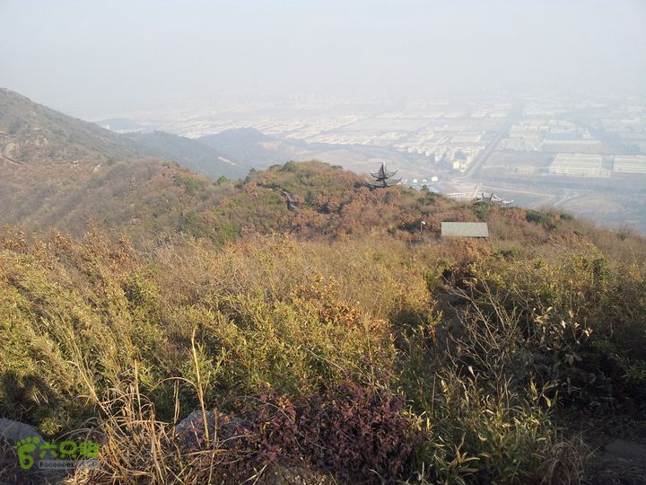 灵树行20140102_142213