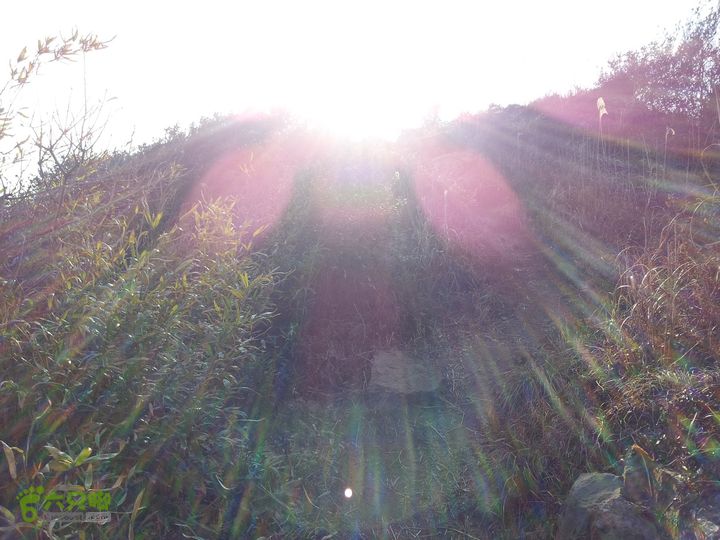 灵树行20140102_142219