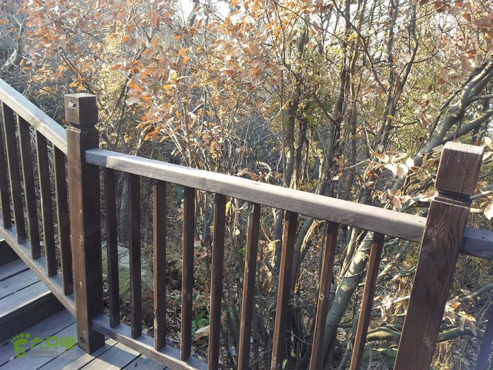 灵树行20140102_144002