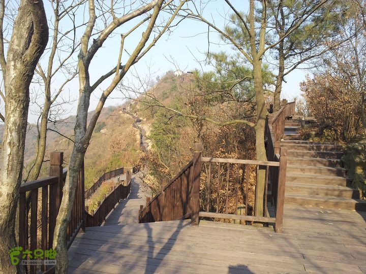 灵树行20140102_144608