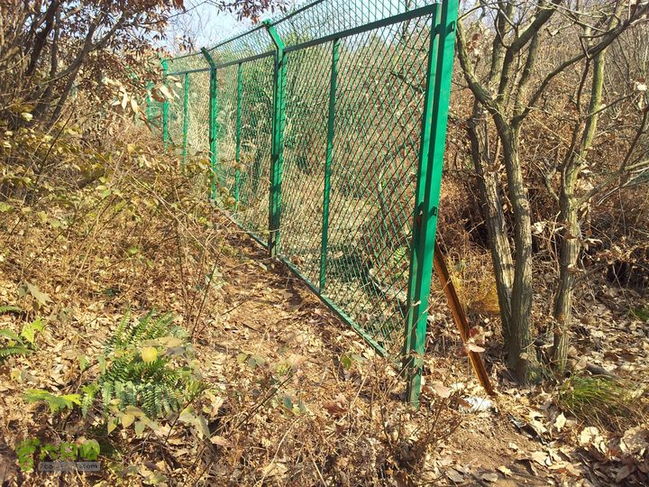 灵树行20140102_150207