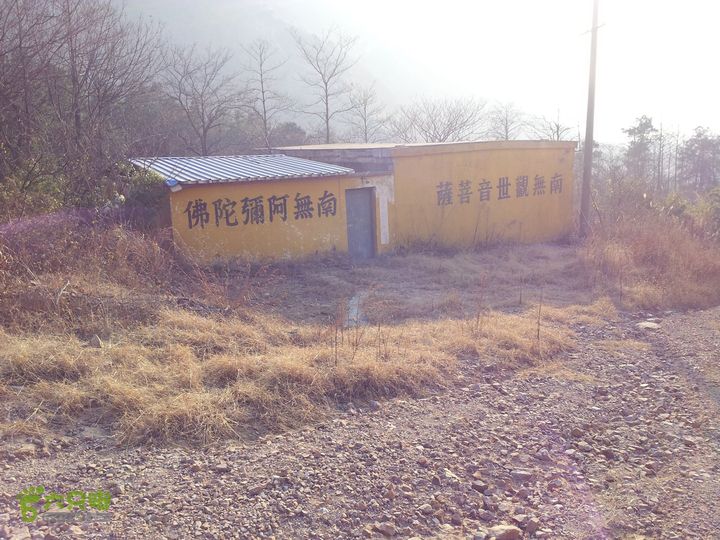 灵树行20140102_152602