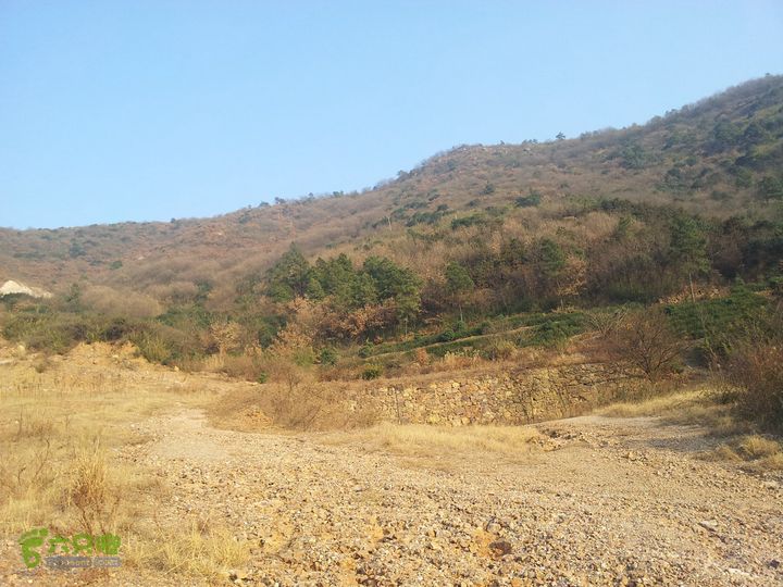 灵树行20140102_152609