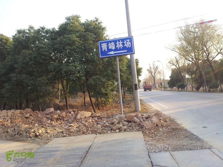 灵树行20140102_154244