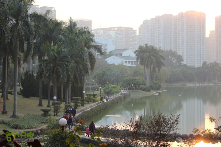 深圳忘记名字的湖