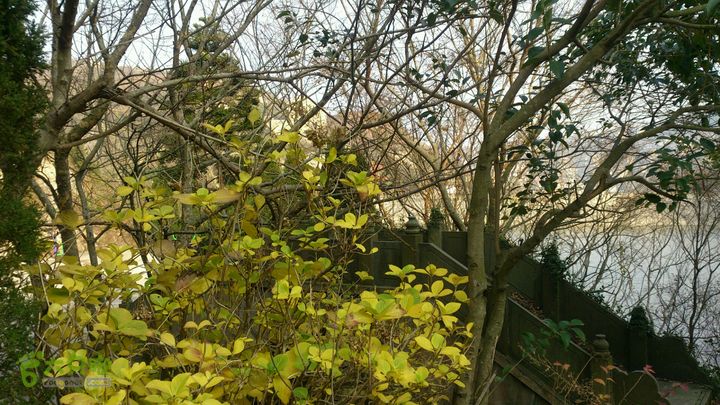 温岭滨海绿道钓浜—车关段（珍珠滩—金沙滩）及狮子山头环线鳳山橋