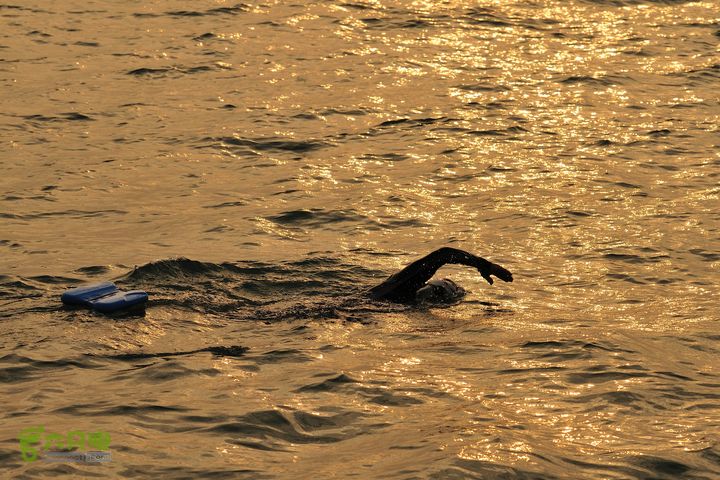 2013-12-26 横渡三亚湾东岛老赵在前行！