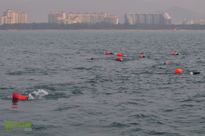 2013-12-26 横渡三亚湾东岛10 名勇士在拼搏前行！